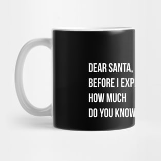 DEAR SANTA BEFORE I EXPLAIN HOW MUCH DO YOU KNOW Mug